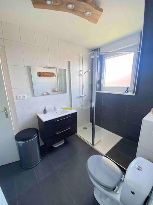 Logement Ideal Pour Un Sejour Alsacien En Amoureux Colmar Extérieur photo